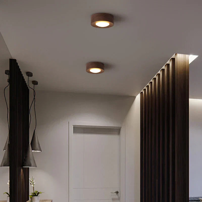 Ceiling lights