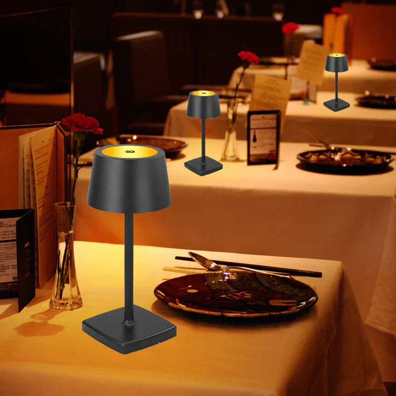 Cordless rechargeable USB lamp